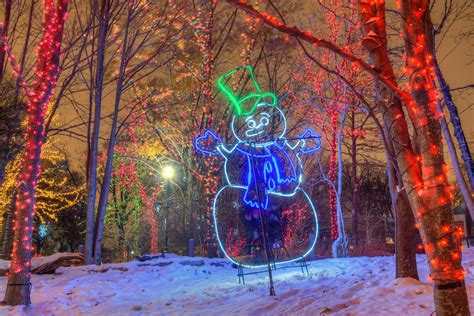 Twinkling Photos From Zoolights At Lincoln Park Zoo Zoo Lights