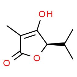 Cas H Furanone Hydroxy Methyl Methylethyl