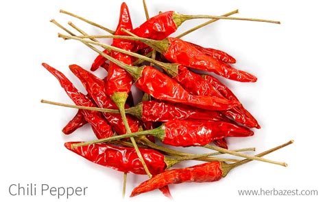 Chili Pepper Herbazest