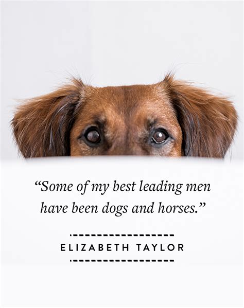 14 Dog Quotes That Perfectly Sum Up Your Relationship - PureWow