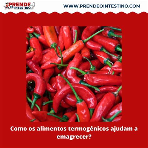 Como os alimentos termogênicos ajudam a emagrecer