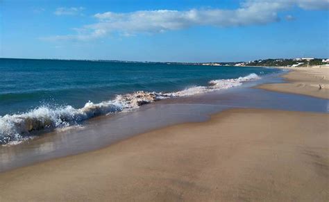 Playas De El Puerto Vis Talas Todas Apartamentos Puerto Sherry