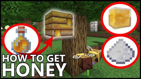 How To Get Honey In Minecraft Youtube