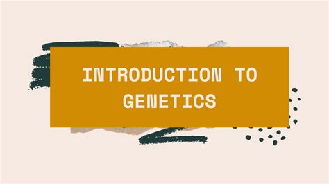 Introduction To Genetics Youtube