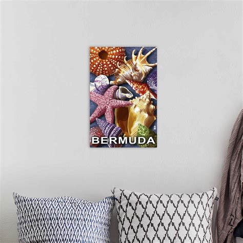 Seashell Collection Bermuda Wall Art Canvas Prints Framed Prints