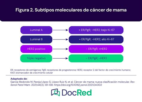 Guía de cáncer de mama temprano diagnóstico tratamiento y seguimiento