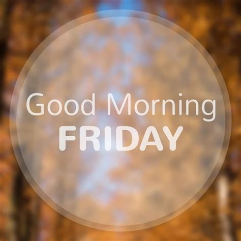 Good Morning Friday Stock Photos Royalty Free Good Morning Friday