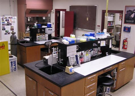 Plant Bioactives And Bioprocessing Research Lab Department Of