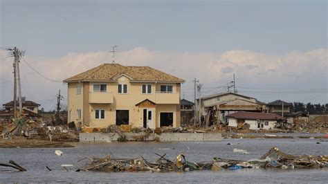 地震と津波に耐えた家。オーナーインタビュー Wacoca News