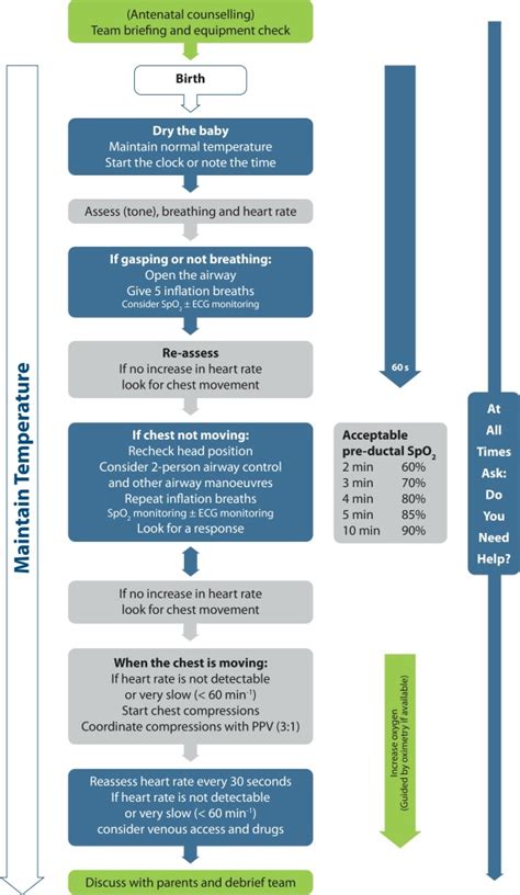 European Resuscitation Council Guidelines For Resuscitation 2015