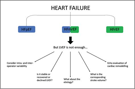 Heart Failure With Midrange Ejection Fraction Pro And Cons Of The New