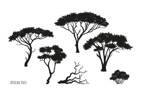 Australian Trees Silhouette: Over 1,585 Royalty-Free Licensable Stock ...