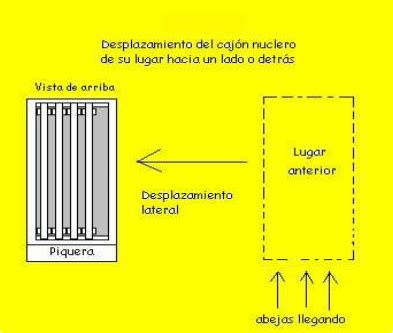 Manual de Cría de Abejas Reinas Guía Práctica para el Mejoramiento