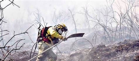 Incendio De Gran Magnitud Afecta La Comunidad De Tirani En El Parque