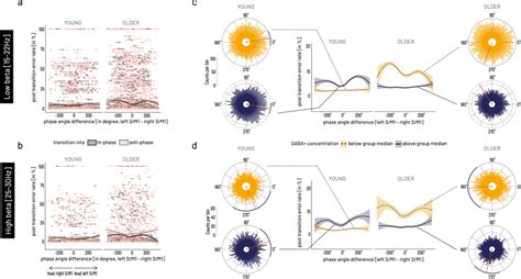 Association Between Cortico Cortical Phase Angle Differences At The