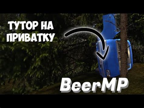 Тутор как скачать мультиплеер BeerMP на приватку My summer Car