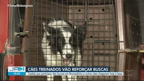 Cadela que atuou em Brumadinho chega para ajudar nas buscas por Lázaro