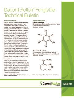 Daconil Action Fungicide Technical Bulletin Syngenta Daconil Action