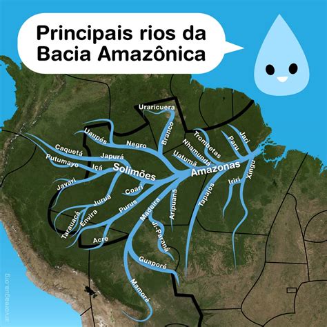 Bacia amazônica arvoreagua