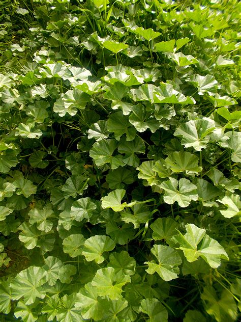 𝕊𝕖𝕩𝕪 𝕄𝕠𝕦𝕙𝕥𝕒𝕣𝕖𝕟𝕒 on Twitter RT fuck u all 24 ετσιηρτεμουχωριςλοο