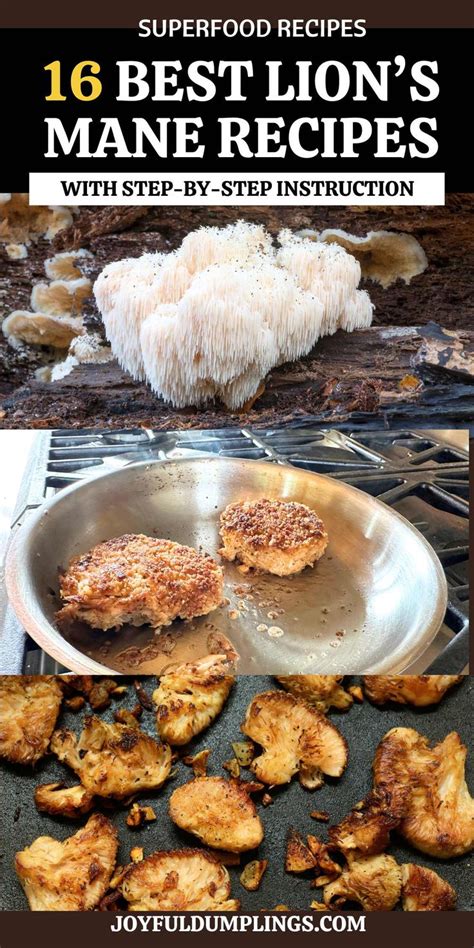 16 Best Lion’s Mane Recipes | Lions mane mushroom recipe, Lion mane ...