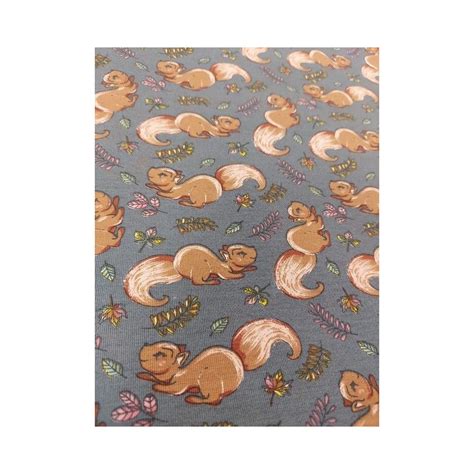 TISSU JERSEY ENFANT IMPRIME ECUREUIL VENDU AU DEMI METRE