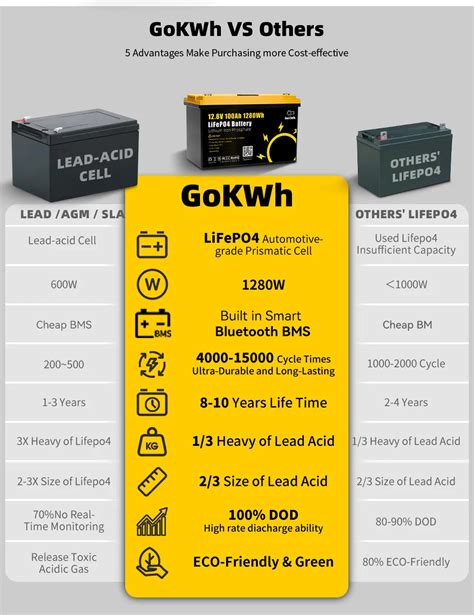 Gokwh V Ah Lifepo Battery Build In Smart Bluetooth Lcd Display