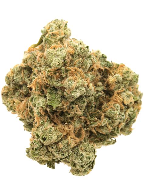 Island Sweet Skunk Aka Sweet Island Skunk Iss Weed Strain