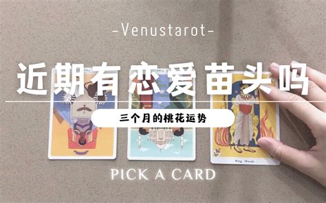 【venus塔罗】未来三个月有一点点恋爱的苗头吗？¬‿¬哔哩哔哩bilibili