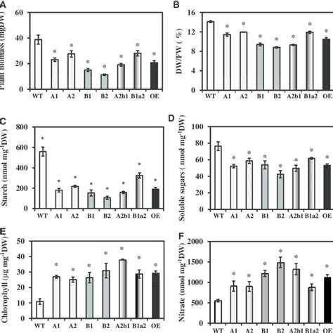 Phenotypic And Physiological Characterization Of Wt And Transgenic Download Scientific Diagram