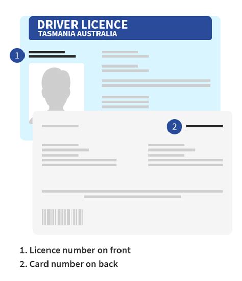 Driver Licence Information Pickles Au