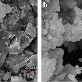SEM pictures. a Green zeolite. b Synthetic mordenite | Download ...
