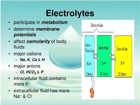 Ppt Fluid And Electrolyte Balance Powerpoint Presentation Free