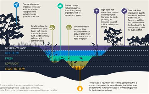 [DIAGRAM] Essential Fish Habitat Diagram - MYDIAGRAM.ONLINE