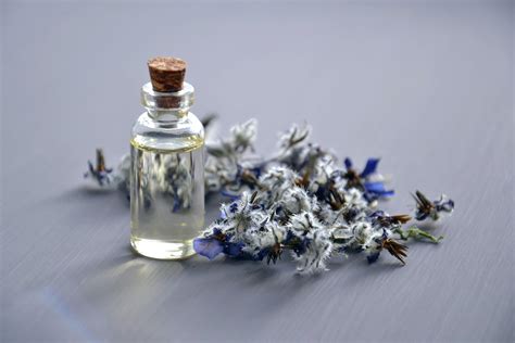 Aceite Esencial De Lavanda Para Qu Sirve Y Cu Les Son Sus Beneficios