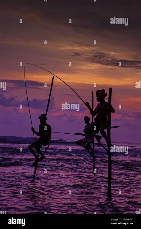 Siluetas De Los Pescadores Tradicionales De Sri Lanka Pilotes Al