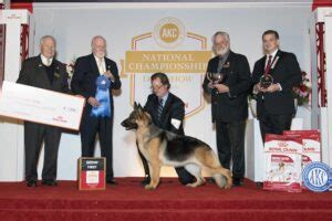 Akc National Championship Group Winners American Kennel Club