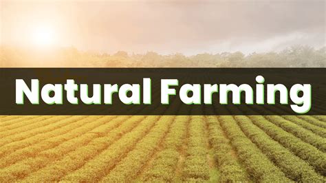 Natural Farming | Definition, History and Benefits - Agri Books