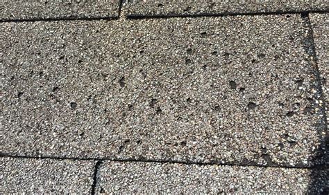 Asphalt Shingle Blisters Unraveling The Mystery