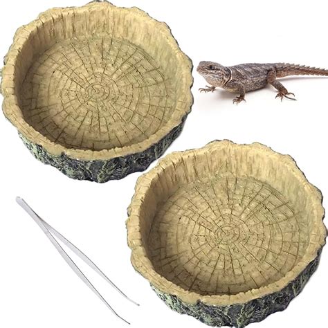 Hamiledyi Pack Reptile Water Dish Food Bowl Set Resin Bearded Dragon