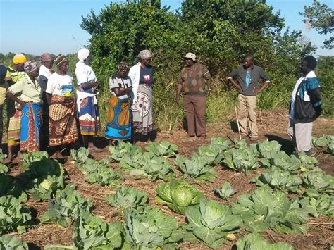 Projeto De Fortalecimento Da Agricultura Familiar E Das Efr Em