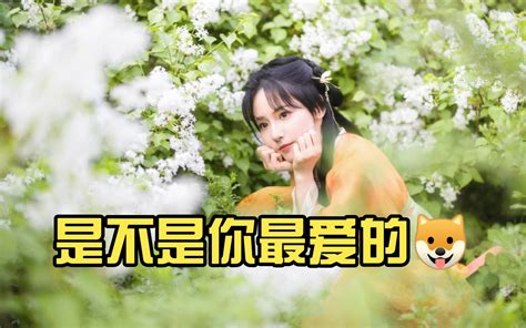 是不是你最爱的🐶哔哩哔哩bilibili