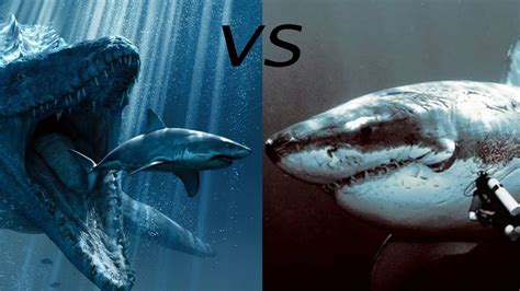 Megalodon Vs Mosasaurus Who Would Win Youtube Images