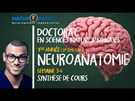 ANAT103 Introduction à la NEUROANATOMIE 1ère Année 1er Semestre