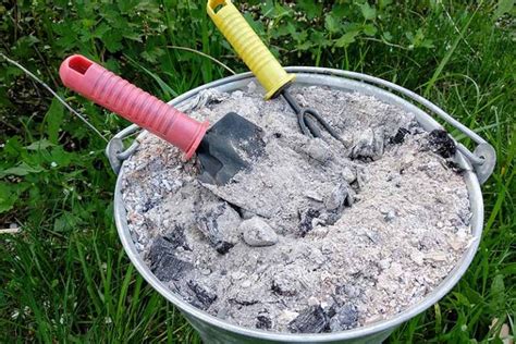 How to Compost Wood Ashes | Gardener’s Path