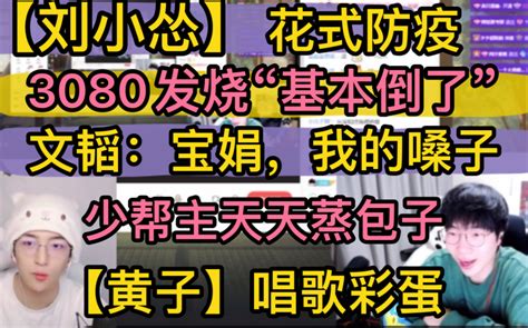 【刘小怂】3080发烧沦陷，文韬：宝娟我的嗓子，少帮主天天蒸包子，黄子不接触人类，花式防疫【黄子弘凡】唱歌彩蛋20221216 超凶的狍子 超