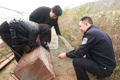 【主动创稳】会宁公安：豹猫“作案被捕”，警民合力送“喵”回家！澎湃号·政务澎湃新闻 The Paper