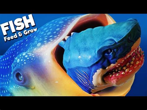 Kindly keyin playing feed and grow fish - netdj