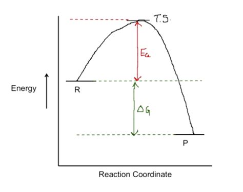 Kinetics And Reaction Coordinate Graph Flashcards Quizlet