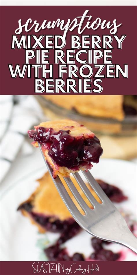 Mixed Berry Pie Recipe With Frozen Berries Sustain My Cooking Habit